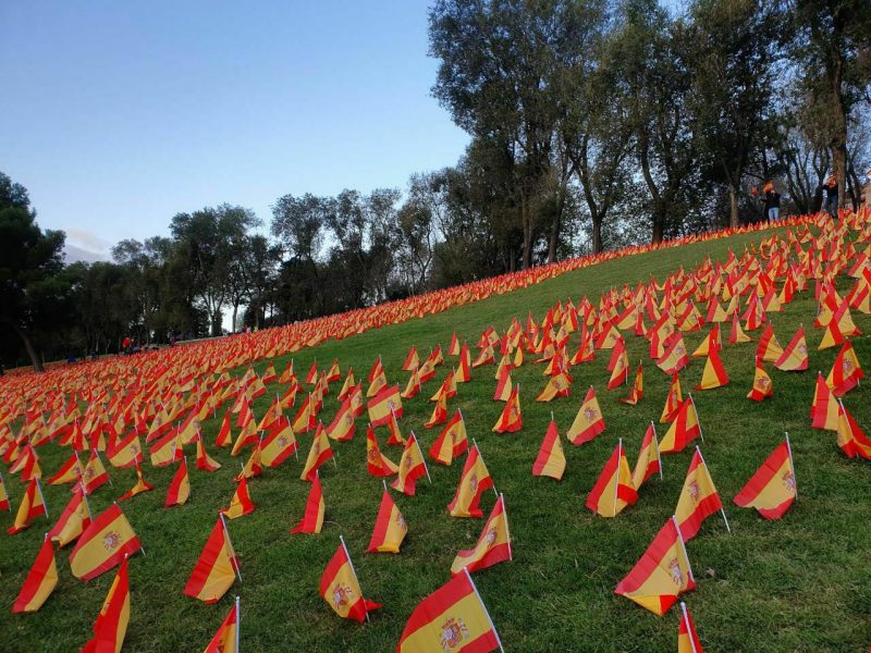 Colocan 53.000 banderas en Madrid en homenaje a las víctimas del Covid-19 (1)