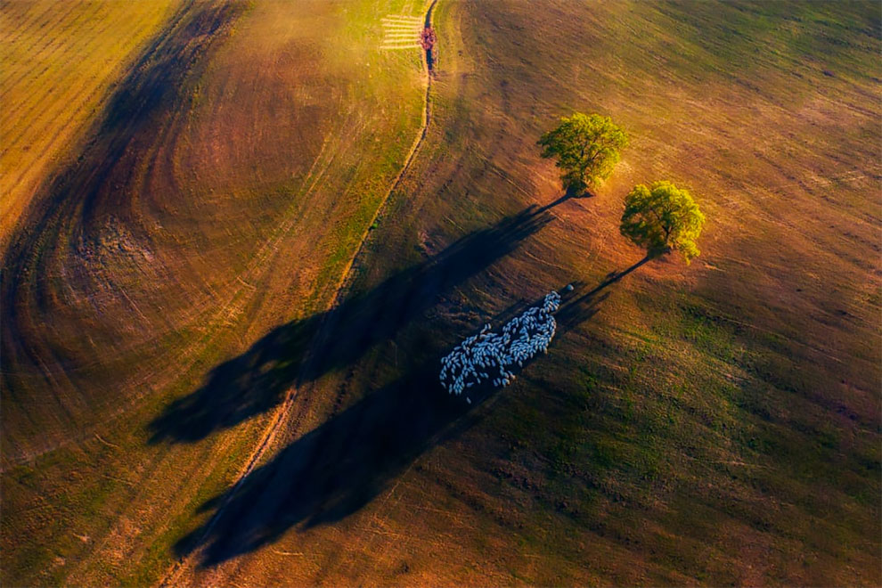 Marek Biegalski Drone Photo Awards