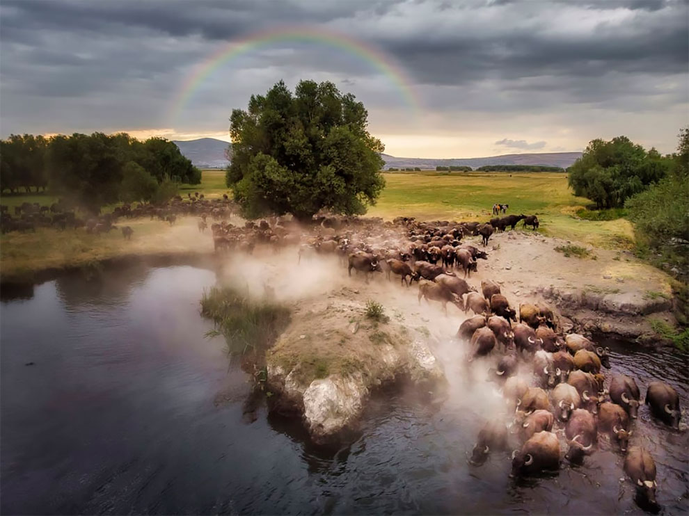 Mehmet Aslan Drone Photo Awards