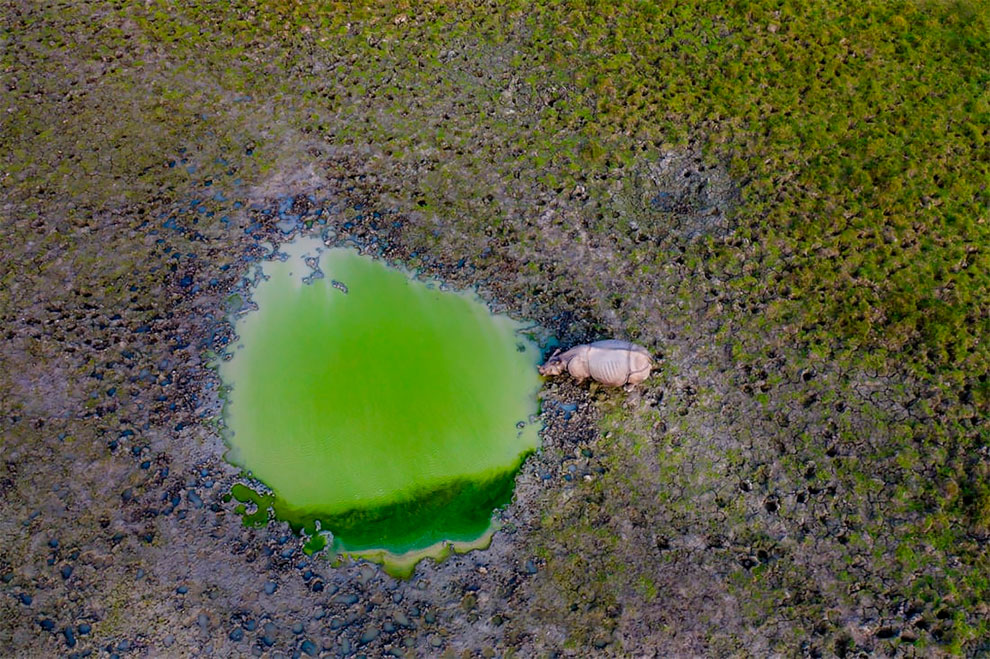 Rajarshi Banerji Drone Photo Awards