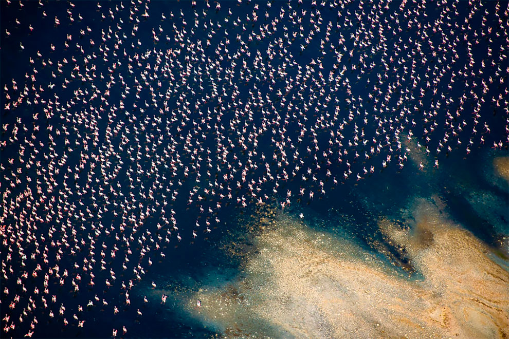 Thomas Vijayan Drone Photo Awards